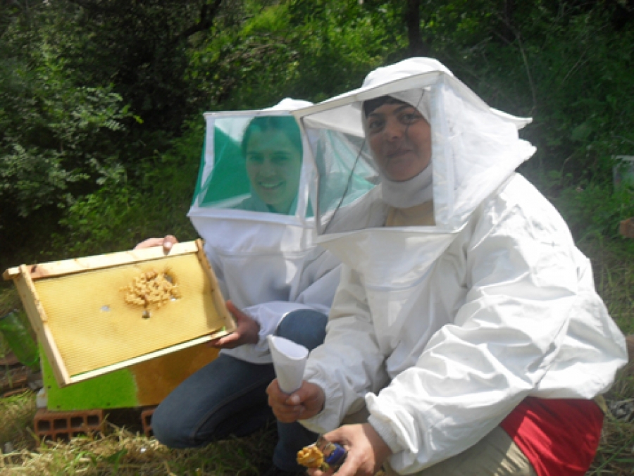 Des femmes de la région en plein apprentissage des méthodes et techniques liées à l’apiculture.