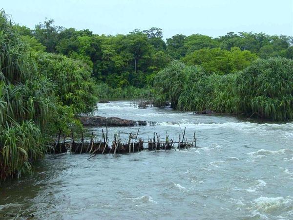 Rivières africaines: Une étude révèle d’importantes émissions de gaz à effet de serre