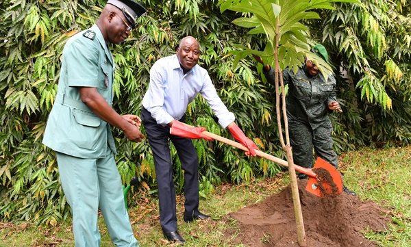 Le Premier ministre ivoirien, Amadou Gon Coulibaly, plantant un arbre dans les jardins de la Primature