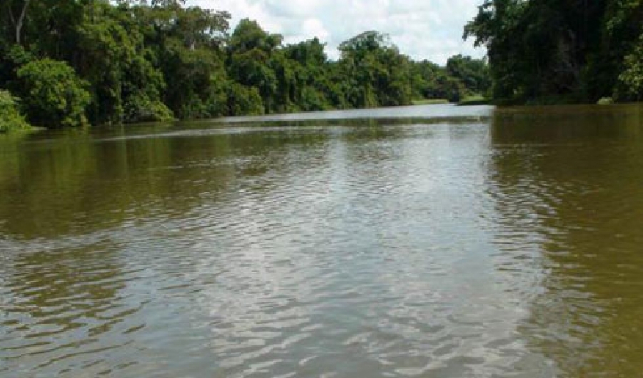 Fleuve N'ZI