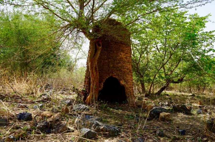 Le four de Nimpoui, village du Centre-Nord du Burkina, a été « découvert » il a une dizaine d’années par l’un des premiers archéologues ouest-africains, Jean-Baptiste Kiéthéga.