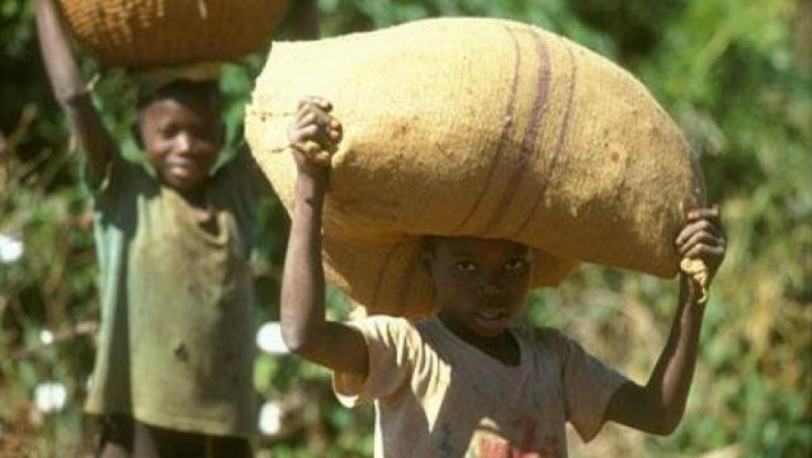 Lutte contre le travail des enfants : La formation professionnelle pour booster l’insertion des adolescents