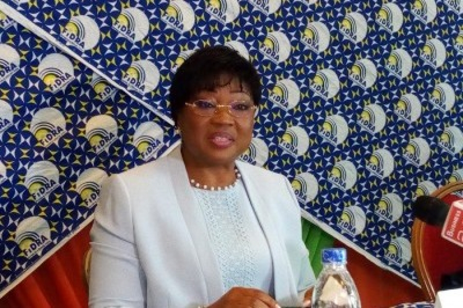 Hélène Diarra, Pdg du FIDRA