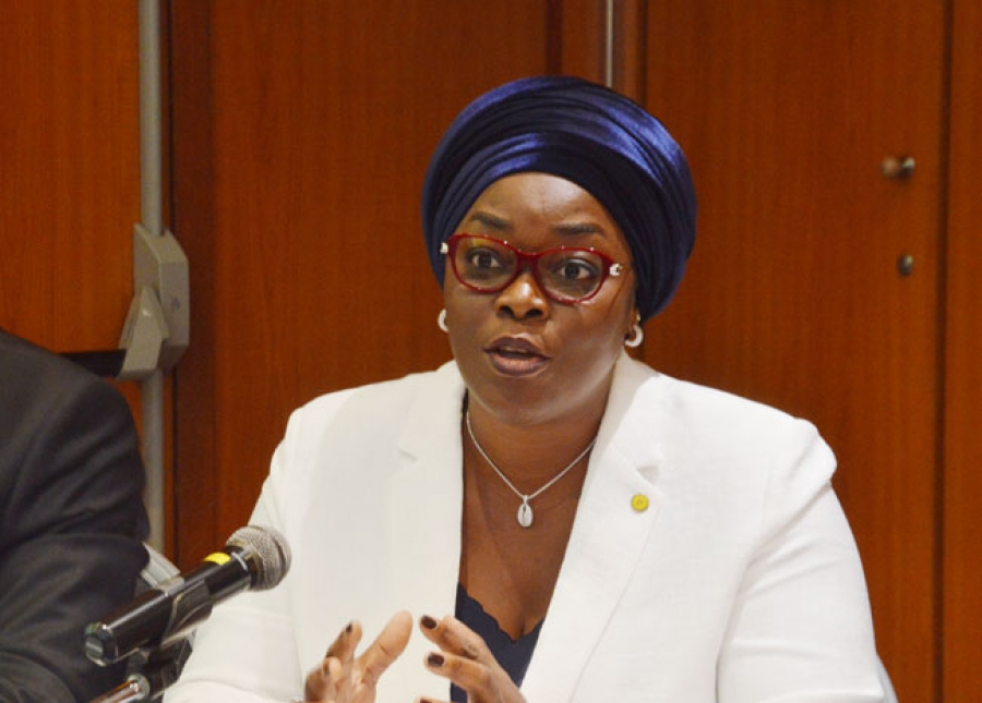 Mme Minafou Fanta Coulibaly, Directeur général du Fonds africain de garantie et de coopération économique.