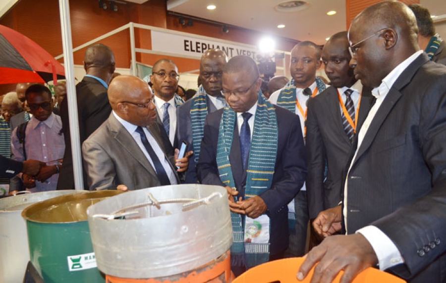 Le ministre (au centre) a invité les experts à proposer des solutions innovantes et raisonnables aux gouvernements africains.