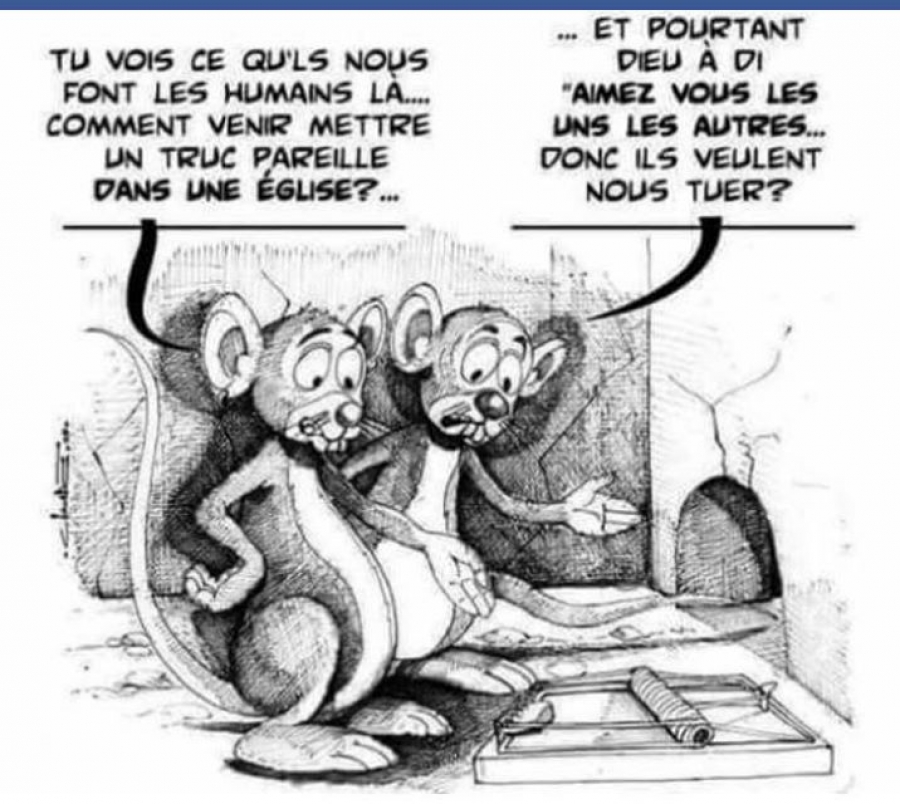 Téléchargement gratuit Images Humour Du Samedi Fratmat actualisé par