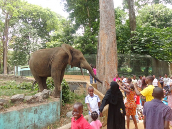 Visite guidée des enfants du centre Sicar au Zoo national d'Abidjan.