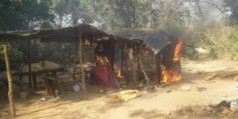 Un réseau d'orpailleurs clandestins dans la forêt classée de Badénou démantelé. (DR) 