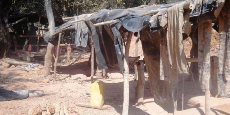 Un réseau d'orpailleurs clandestins dans la forêt classée de Badénou démantelé. (DR) 