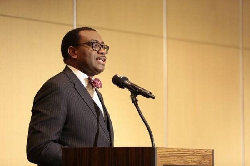 Le président de la Banque africaine de développement, Akinwumi Adesina (DR)
