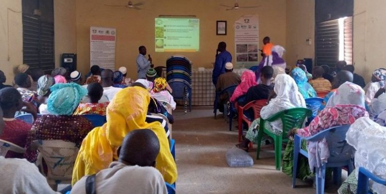 Les participants à l'atelier de restitution des résultats du FCIAD. (AIP)