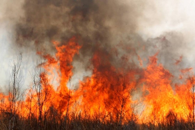 Feu de brousse