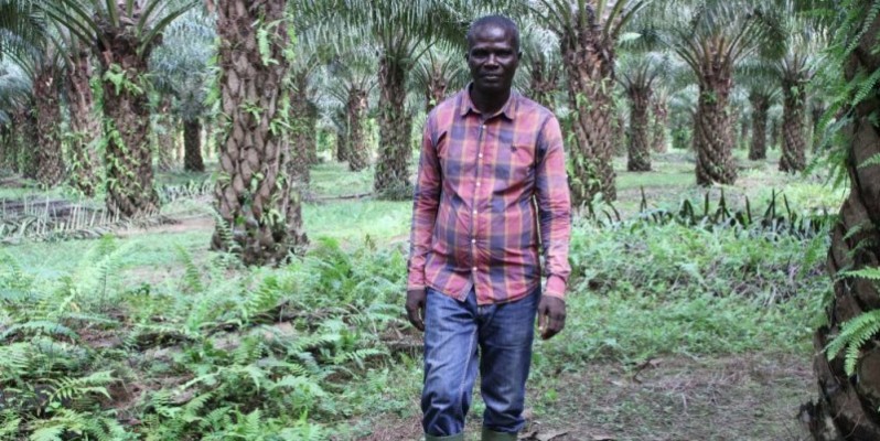 Akouah Techi Philippe, producteur de palmier à huile. (DR)