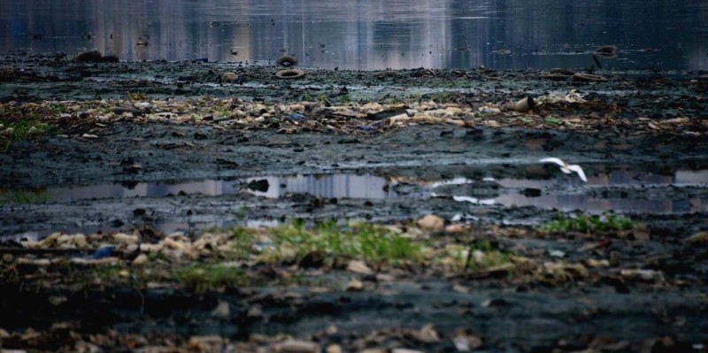 Des déchets sur la lagune Ebrié. ( DR)