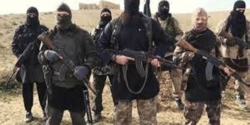 Des Djihadistes. (DR)