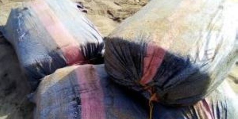 des sacs de plaquettes de drogues (DR)