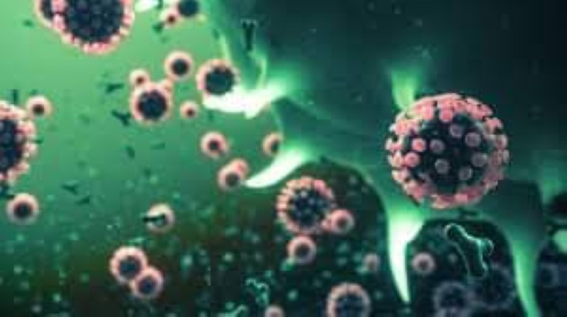 Le virus. (DR)