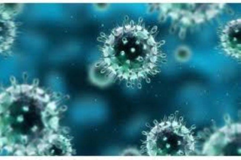 conavirus