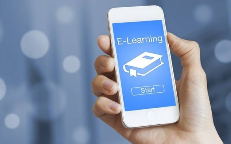 Des cours à distance appréciés différemment par des enfants. (DR)