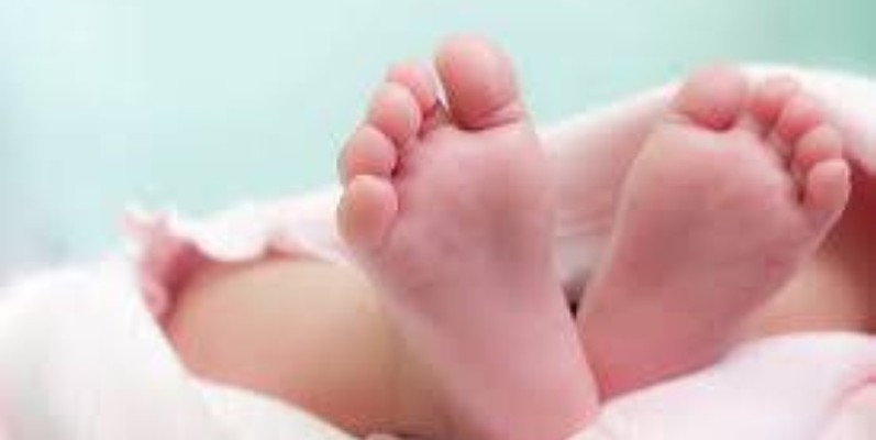 Une vue du bébé. (DR)