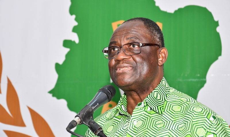 Le secrétaire exécutif du Pdci, Maurice Guikahué (DR)