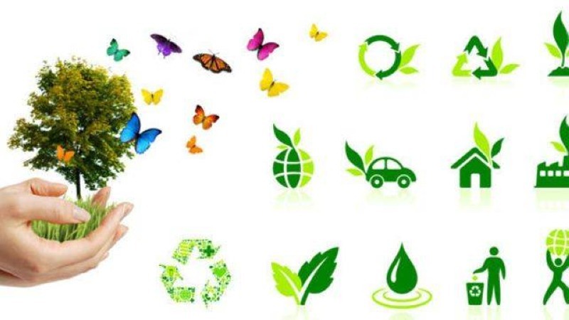 Des inovations pour le développment durable en compétition (DR)