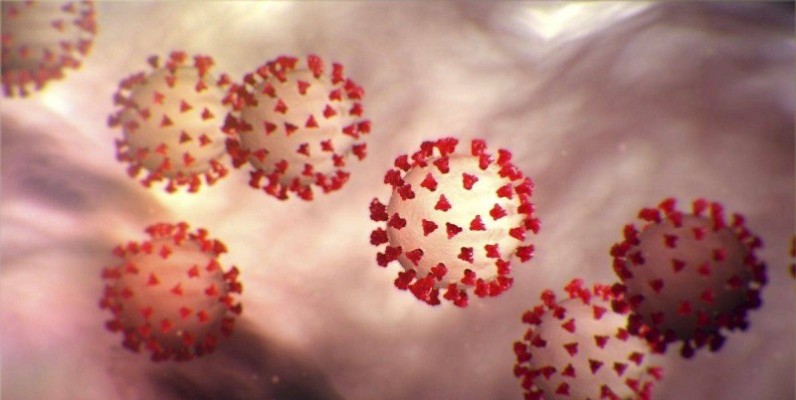 coronavirus 