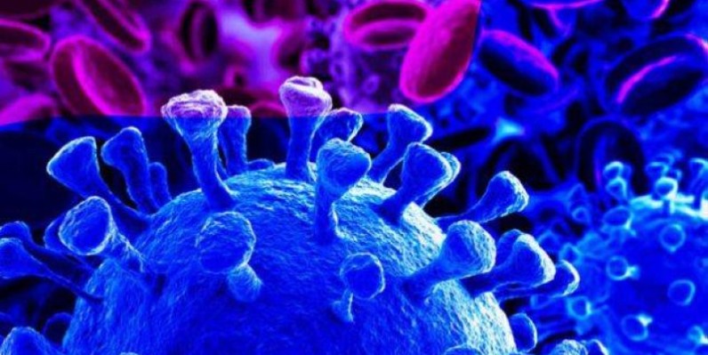 Le virus causant le Covid-19. (DR)