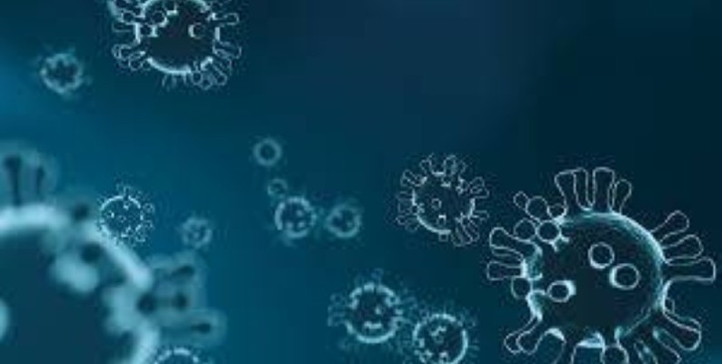 Une vue du virus du Covid-19. (DR)