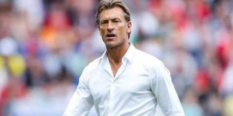 Hervé Renard, ancien entraîneur des Eléphants de Côte d'Ivoire. (Dr)