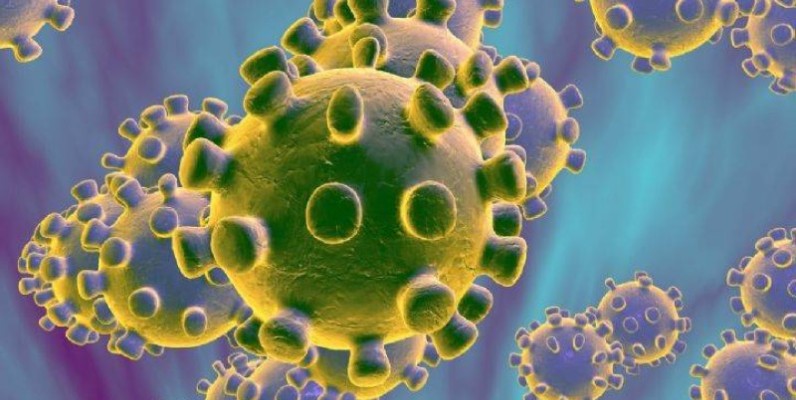 coronavirus