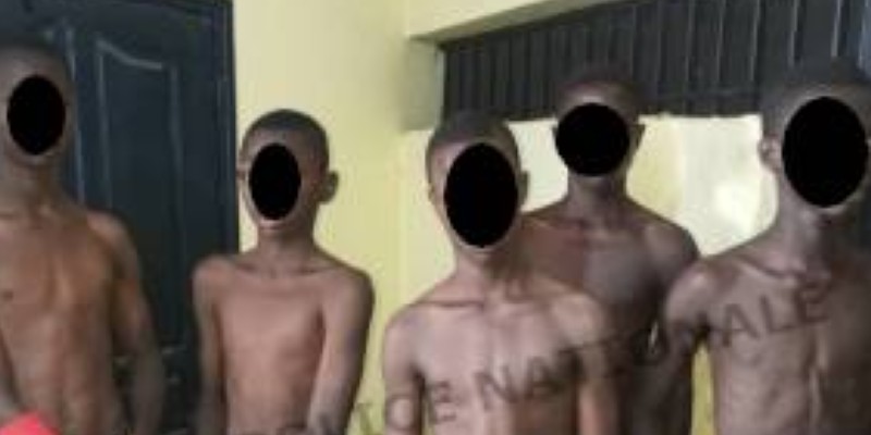 Ces 5 élèves sont désormais aux mains de la Police. (Dr)