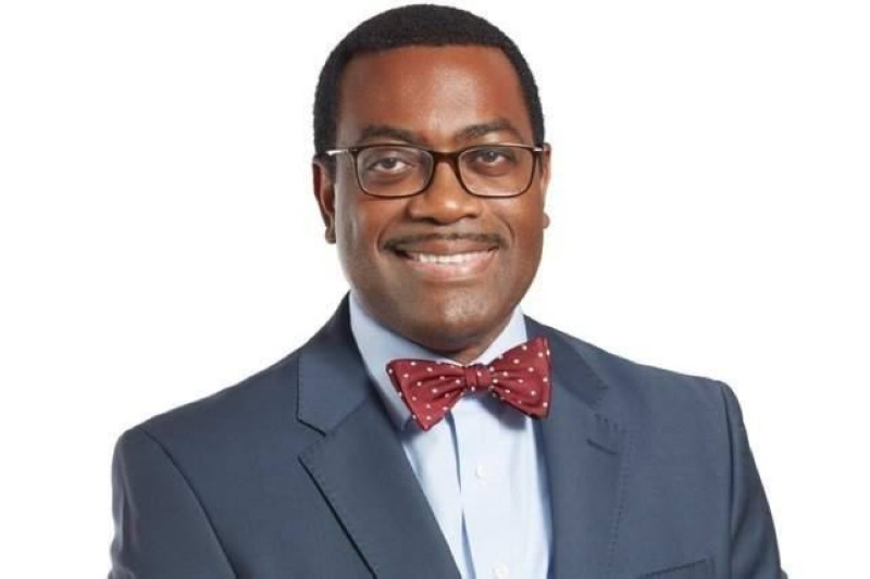 Le président de la Banque africaine de développement, Dr Akinwumi Adesina. (Dr)