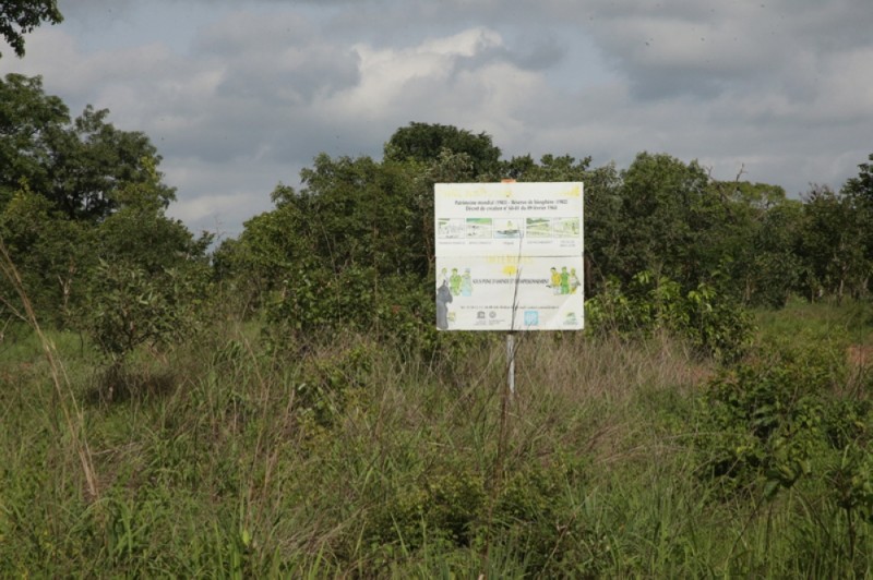 Le parc national de la Comoé qui relie Kafolo à Bouna (255km)  a été une source de revenus touristique pour le village