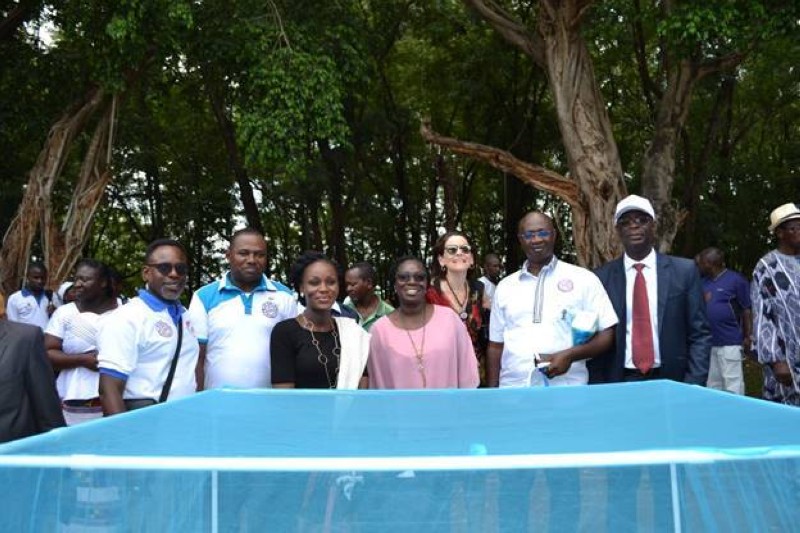 Archives.
L'équipe PMI/Côte d’Ivoire, La Représentante Pays de l’USAID et le Directeur du PNLP avec des partenaires lors d’une activité PMI