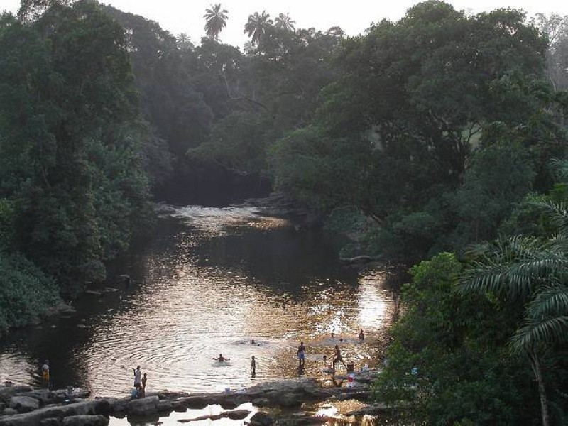 Cross river située entre le Nigéria et le Cameroun. (DR)