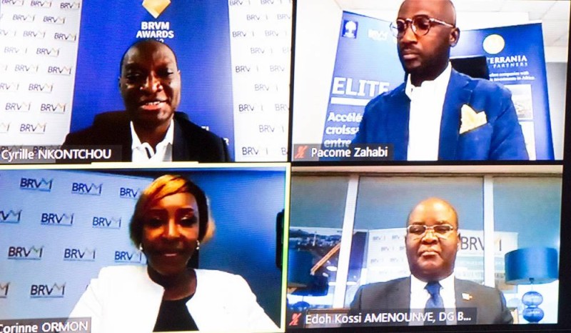 Une vue des participants au webinaire. (DR)
