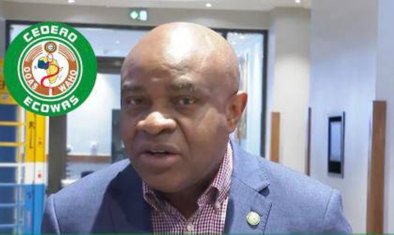 Pr. Stanley Okolo, directeur général de l'Organisation ouest-africaine de la santé. (DR)