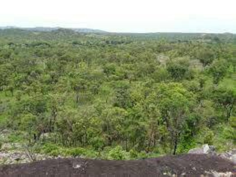 Une vue du parc de la Comoé. (DR)