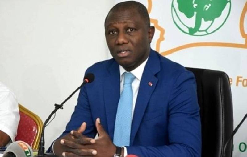 Didier Drogba, Sory Diabaté et Idriss Diallo sont les trois candidats déclarés.