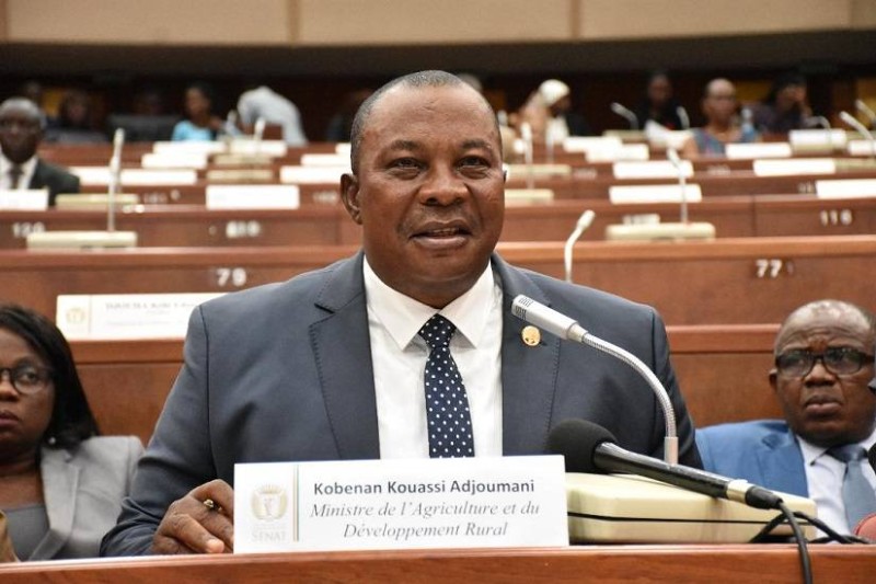 Kobenan Kouassi Adjoumani, ministre de l'Agriculture et du Développement rural. (DR)