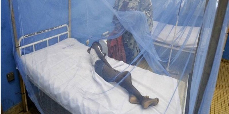 Un malade sous une moustiquaire. (DR)