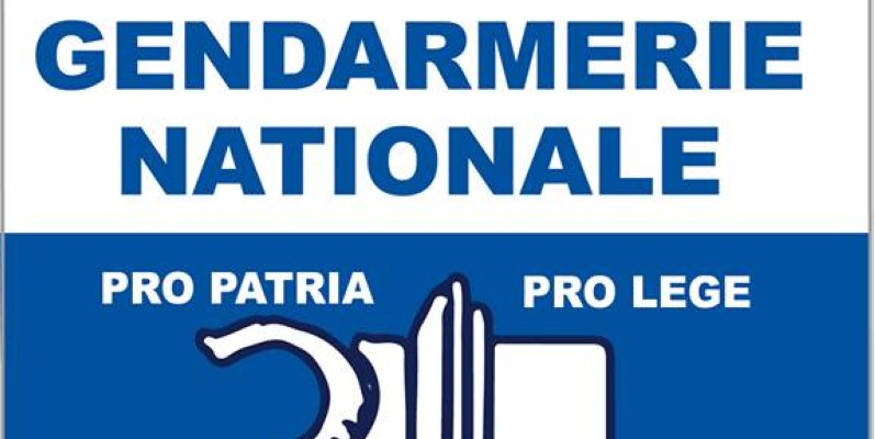 Le logo de la gendarmerie nationale. (DR)