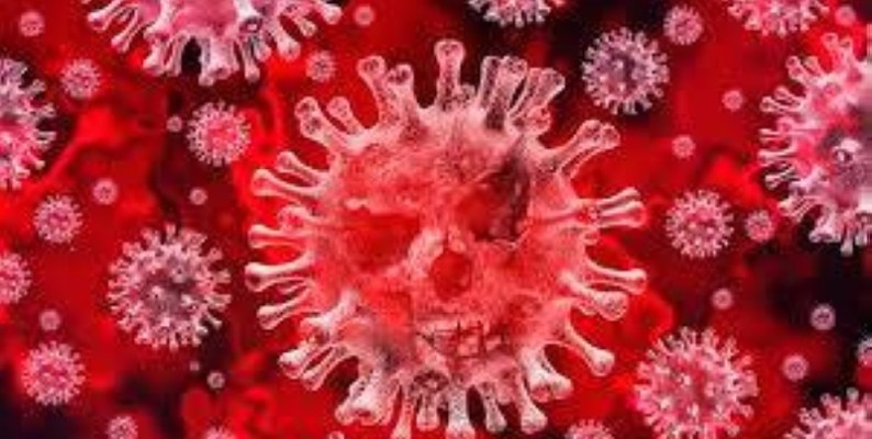 Une vue d'un virus. (DR)
