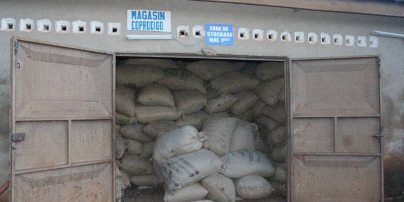 Le magasin de stockage de produits est devenu exigu du fait de la hausse de la production de l'anacarde. (Véronique Dadié)