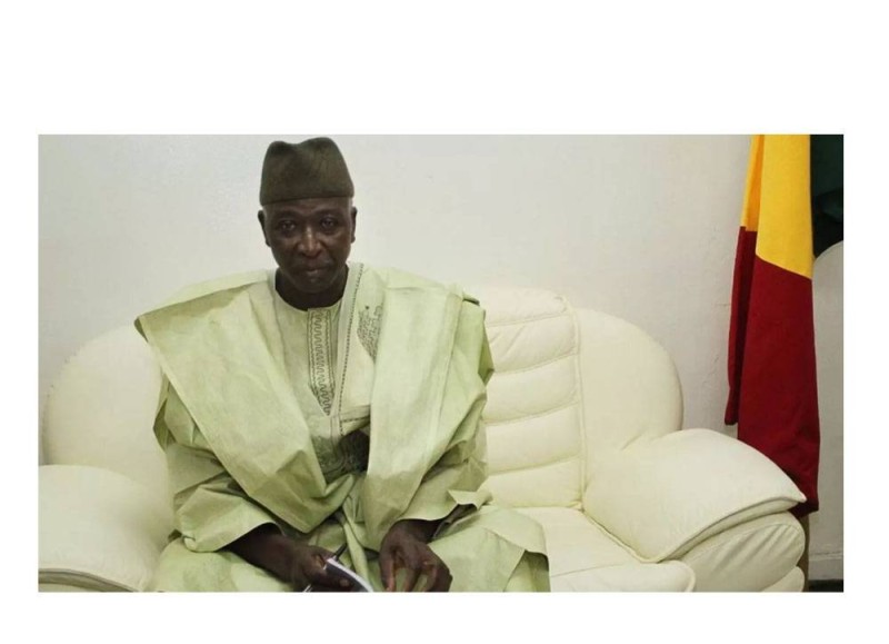 Le président de transition du Mali
