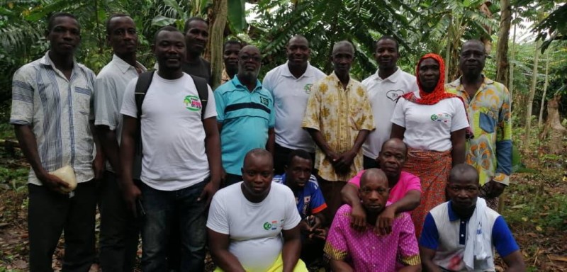 Plusieurs producteurs ont quitté la forêt classée pour reprendre leurs vieilles plantations. (Dr)
