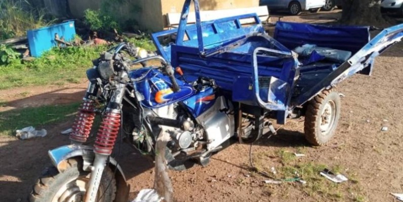 Un tricycle rendu en épave par l'éléphant à Boguédia. (Dr)
