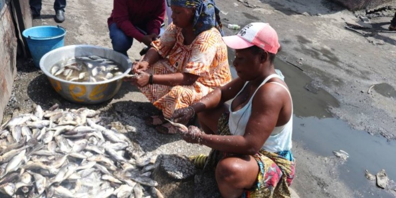 Awa Koné et Sara Koné, fumeuses de poisson à Vridi Zimbabwe. (Jean Bavane)