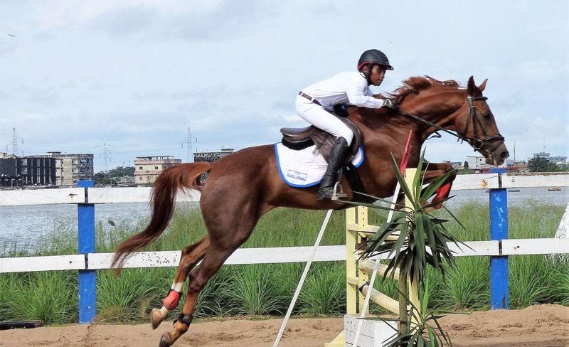 Equitation Cso Et Mo Jumping 2020 La Fete Du Cheval A Saint Michel Fratmat Consultez les petites annonces de chevaux cso saut d'obstacle à vendre sur chevalannonce.com. equitation cso et mo jumping 2020
